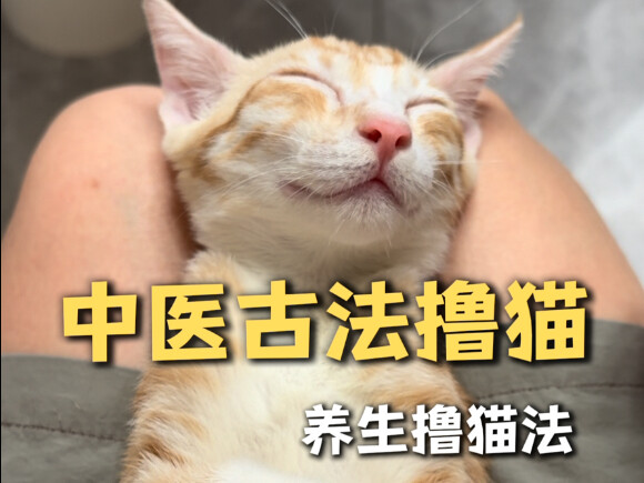 A wellness-focused way to pet cats—turns out pediatric Tui Na can be used like this!