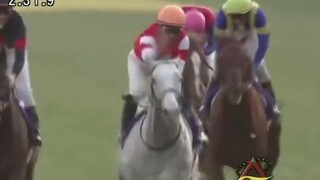 [สู้เพื่อฝัน ม้าสาวเดอร์บี้Alternative MMD] Horse Chasing Golden Ship (บุคคลที่หนึ่ง)