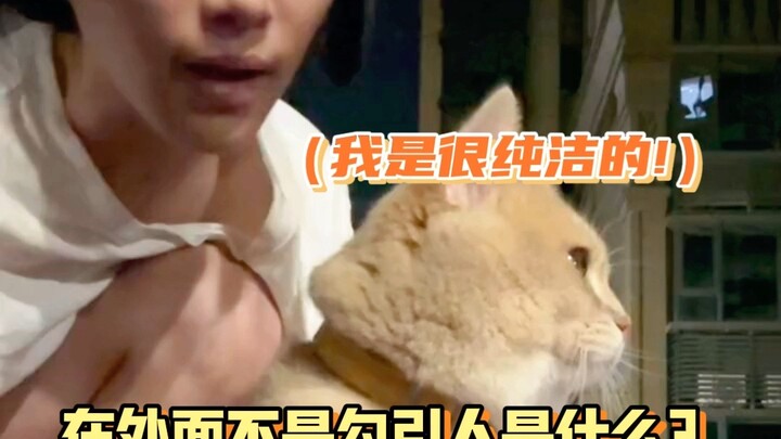 Cat: I feel like my personal space is being invaded. Cat: What do you mean?