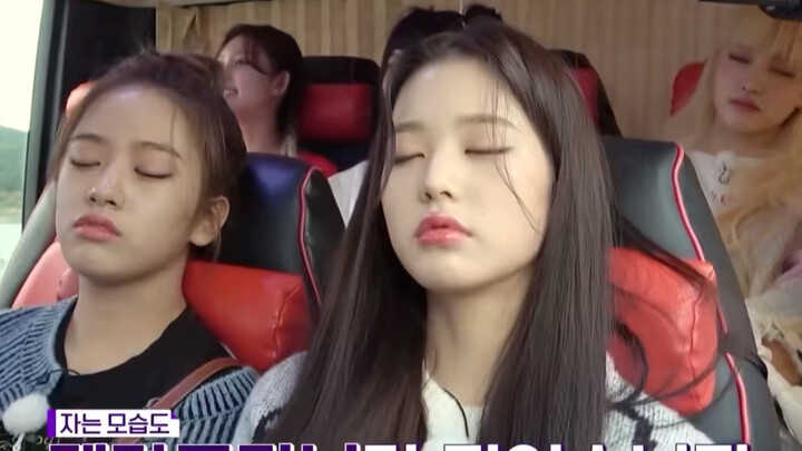 «داو تشون جيوه» | نقاش حول وراثة جوهر فرقة izone