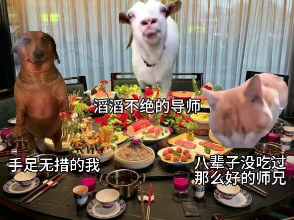 เมื่อคุณจบการศึกษาและหันกลับมามองแปดปีที่ผ่านมา คุณจะรู้สึกว่าเก้าปีนี้ช่างมีความหมายอย่างยิ่ง