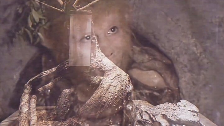 สถานะราคาโมเดลกันดั้ม