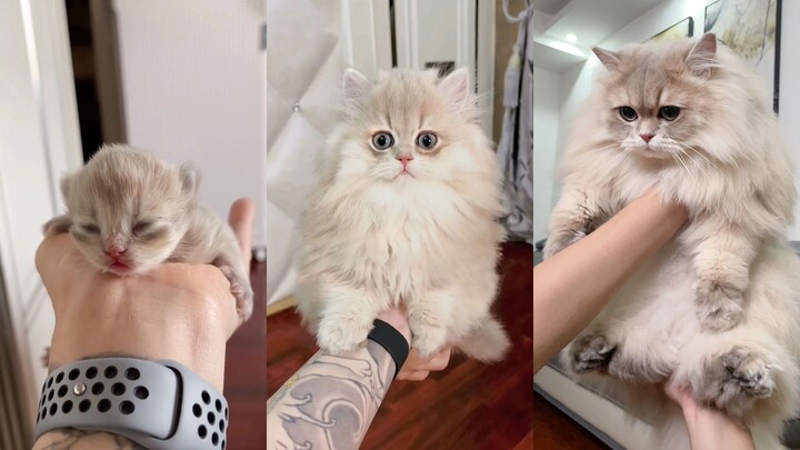 Don’t rush to throw it away—give it another two months!