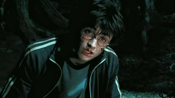 【HP】"Bạn muốn tôi thay thế ai?"