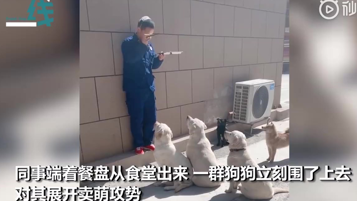 Hand over the lunch boxes! As soon as the firefighters left the cafeteria, they were immediately sur