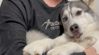 On the surface, he's a ruthless CEO, but deep down, he's still just a baby.