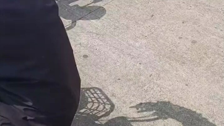 Are they building a spaceship?