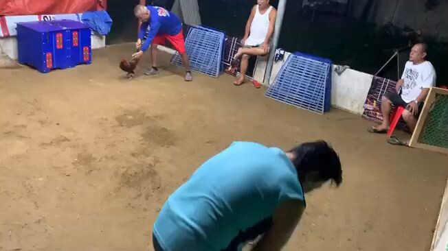 2 selection for 8 UGBOD STAG DERBY @ NAC BOGO NOV 8,2025