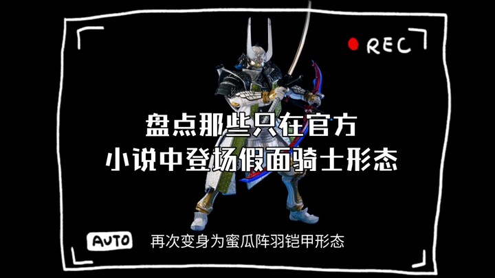 盘点那些只在官方小说中登场假面骑士形态