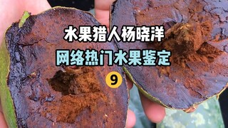 [Fruit Hunter x Hunter] Online Popular Fruit Identification 9
