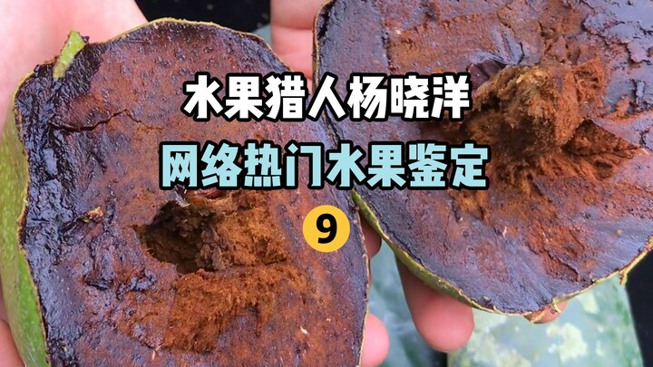 【水果猎人】网络热门水果鉴定9