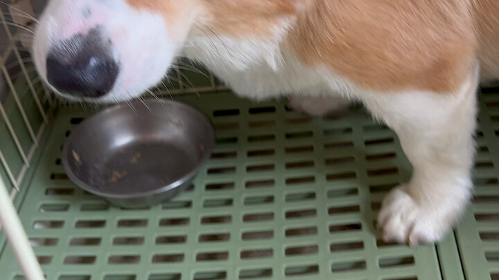 ฉันทำให้แม่พะอืดพะอมจนอาเจียนออกมา