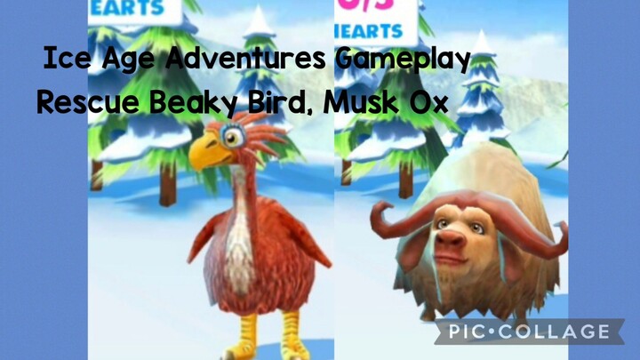 Ice Age Adventures Gameplay: Rescue Beaky Bird, Musk Ox