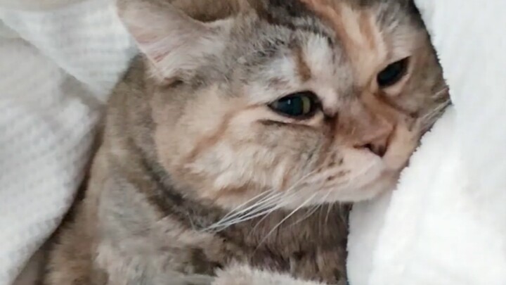 You can’t just flip my blanket open like that!