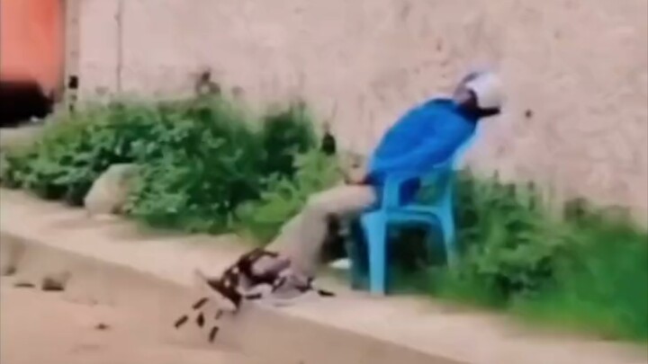 هذا هو رقص الشارع