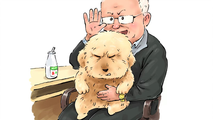 狗狗：爷爷酱，瓦达西要碎掉了