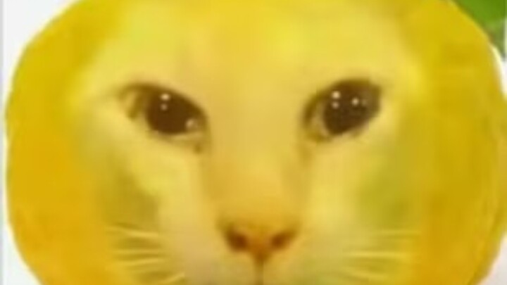 Ugly Orange Compilation