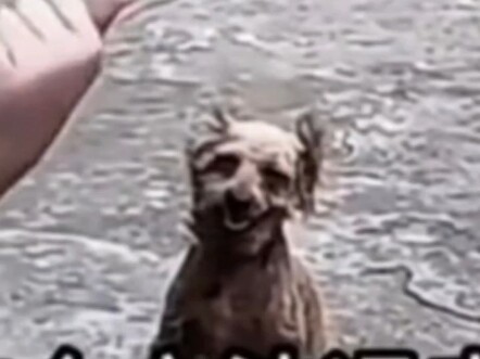 هذا الدب الصغير الشرير لـ مومو غه، شوف لو صنعت واحد زيّه هيكفي؟