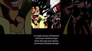 Bajak Laut Shirohige manga anime one piece #shorts #bajaklaut #shirohige #anime #manga #onepiece