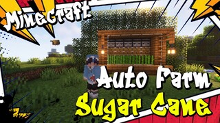 SUGAR CANE AUTO FARM MINECRAFT