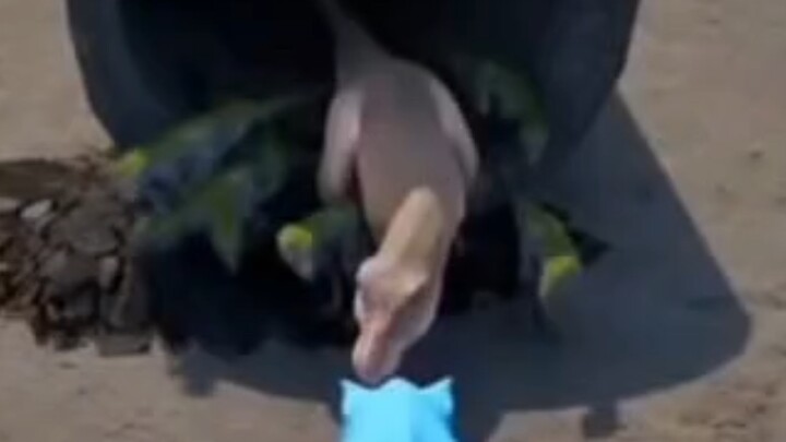 Begitu banyak anak-anak