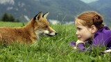 AMANDA AND THE FOX - FAMILY MOVIE
