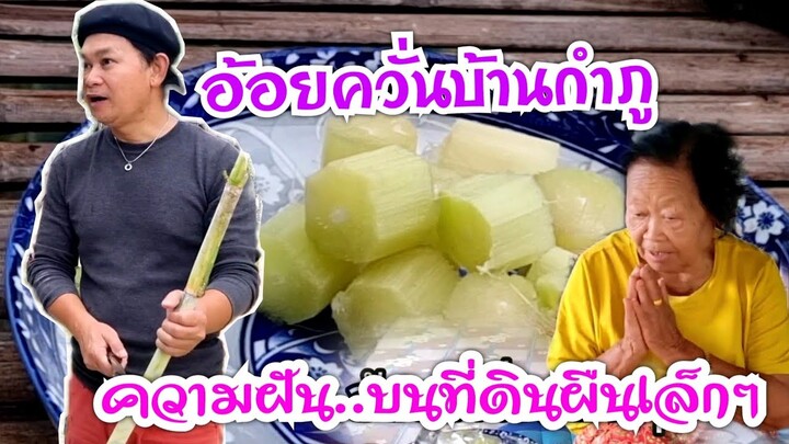 อ้อยควั่นบ้านกำภู ตามฝันบนที่ดินผืนเล็กๆ#บ้านสวนกำภูEP540