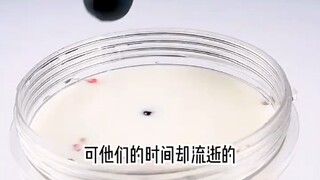 冬青争宠【一键五连】