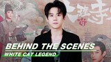 🐱Zhou Qi Invites You to go on a Detective Trip to Shendu! | White Cat Legend | 大理寺少卿游 | iQIYI