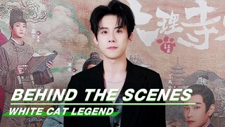 🐱Zhou Qi Invites You to go on a Detective Trip to Shendu! | White Cat Legend | 大理寺少卿游 | iQIYI