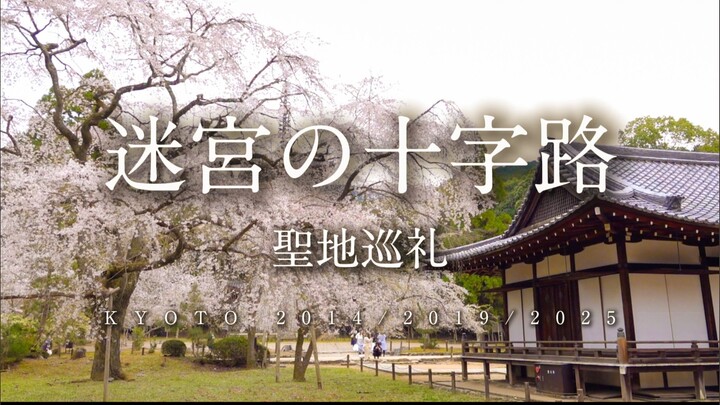 【京都】名侦探柯南圣地巡礼/迷宫的十字路口「我一直期待着能不能再次见到她」