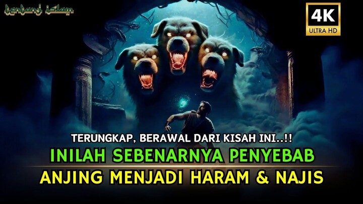 Anjing Itu Tidak Haram & Najis Jika Bukan Karena Ini ⁉️ Sejarah Islam, Tentang Islam