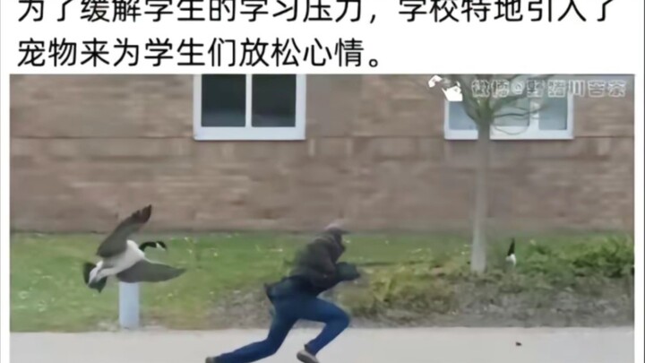 网络上的搞笑图片（58）
