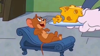 【Tom and Jerry】Do you remember that Jerry?