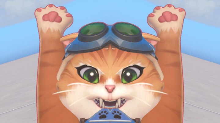 ✋ 🐱 🤚