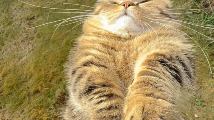 Worked hard all day just to run away from home.
