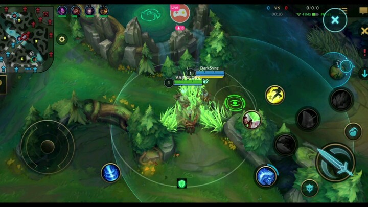 WILDRIFT/BRAUM SUPPORT TANK