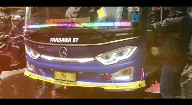 bus pandawa