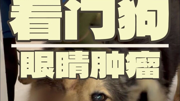 Kalian semua menganggapku banyak bicara, kalau begitu hari ini aku tidak akan bicara lagi