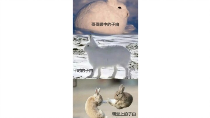 Su Zhe: The “Rabbit Treasure” in Brother Su Shi’s eyes, a formidable figure on the imperial court st