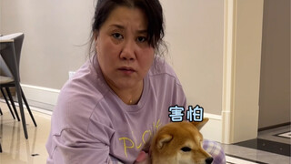 也许这就是修勾的浪漫吧