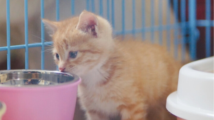 Hello everyone! My name is Chen Duola. Since I poop a lot, my older sister Chen Bella picked this na