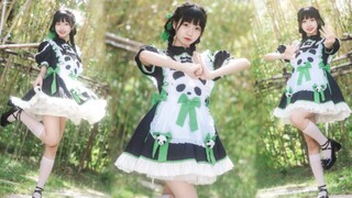 Your little panda junior sister, so cute, you will cry for a long time if you punch me "Kamisama Kis