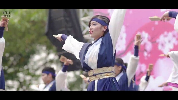 [ Viet Nam Yosakoi Festival ] Sakura 2019