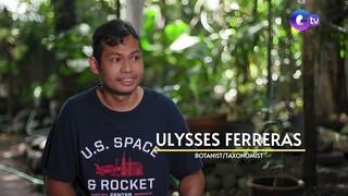 Sumbrero na gawa sa pinatuyong upo, ginamit na graduation cap ng mga estudyante sa Abra | I Juander