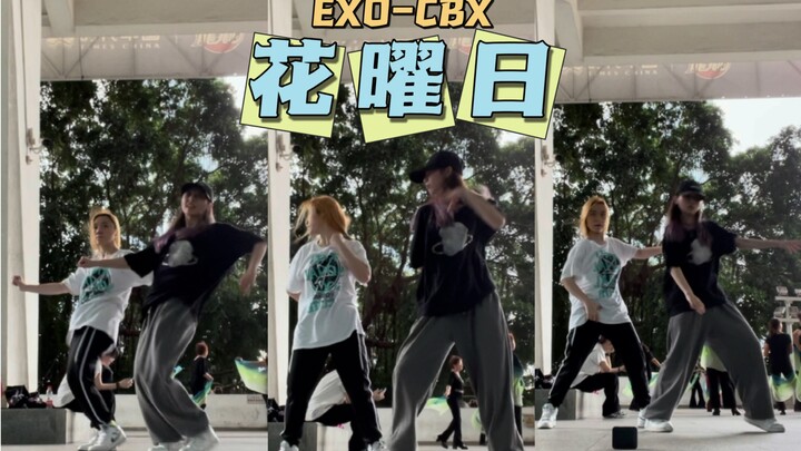 【花曜日】重拾回忆vs现场速成|EXO-CBX