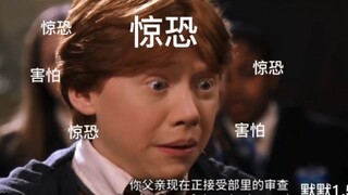 当罗恩收到来自“妈妈の关爱”时……
