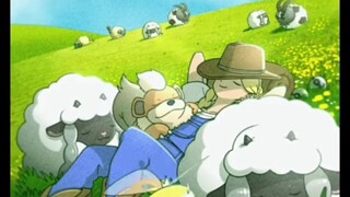 The fascinating world of Pokémon