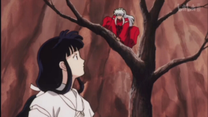 Dog Orange: I don’t need to draw my bow—I know you’ll block this arrow for me.