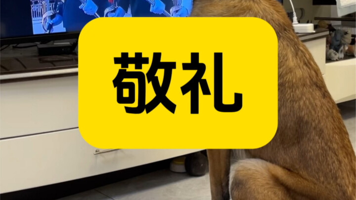 血脉突然觉醒了